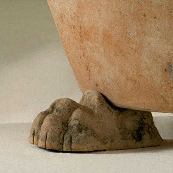 Lion feet