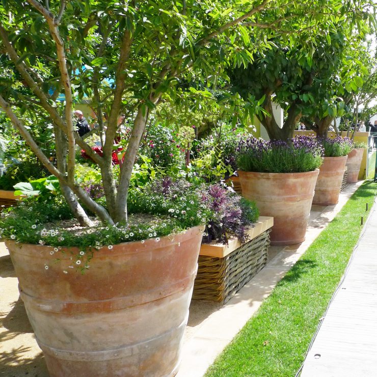 Italian Terrace How To Pot Up Exceptionally Large Terracotta Pots - Large Terracotta Garden Pots