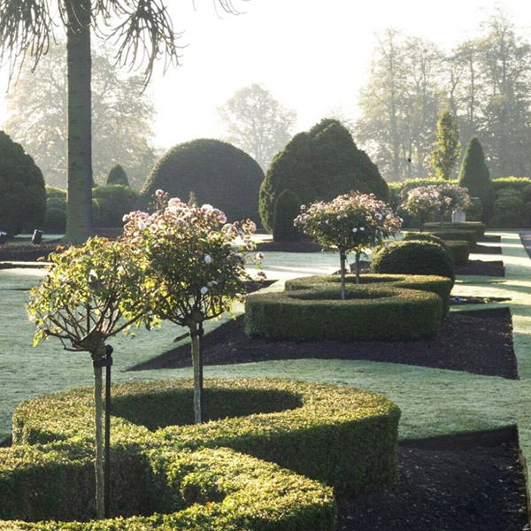 Brodsworth garden in winter