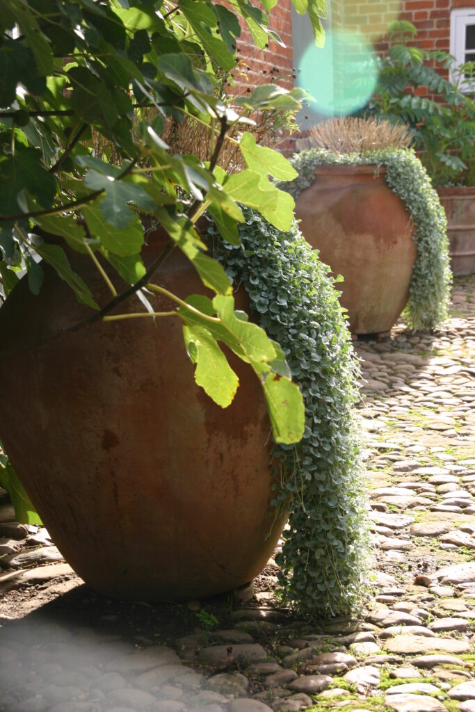 Terracotta garden oil jars