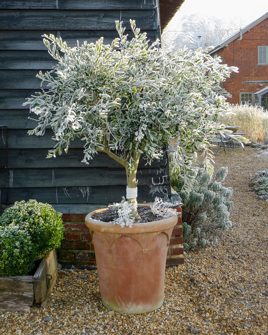 Tethering pots in high wind