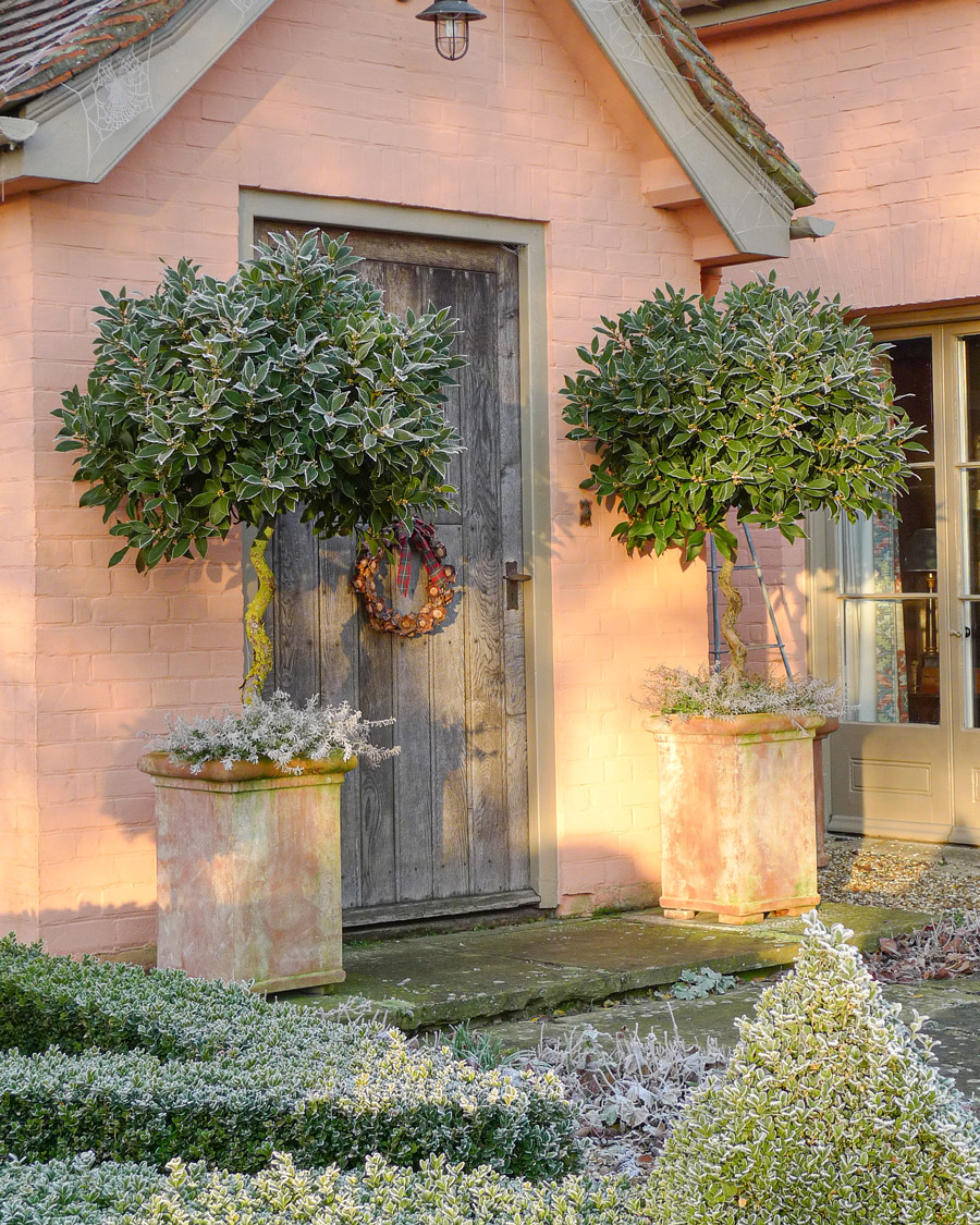 Winter pot care against frost